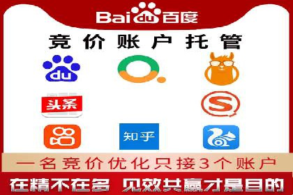 搜索引擎营销（SEM）成功案例详解